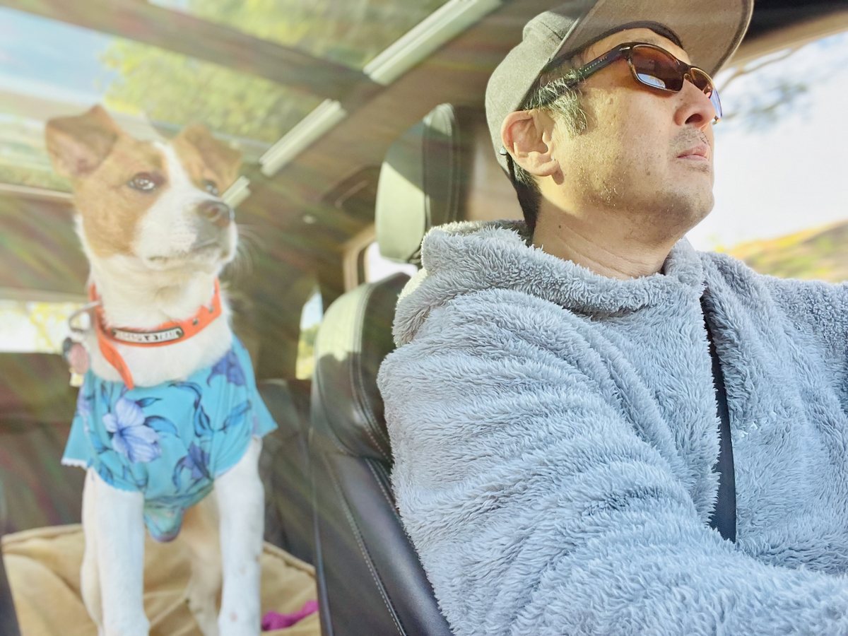 Dave Chung in a cap and sunglasses behind the wheel, with his dog riding along in a Hawaiian shirt.